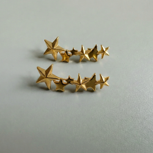 5 Star Gold Charm